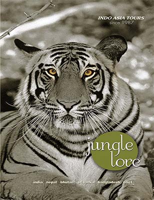 wildlife