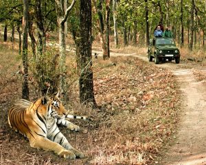 Bandhavgarh National Park