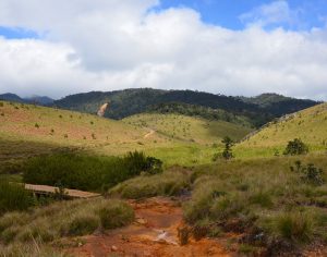 The Horton Plain Plateau