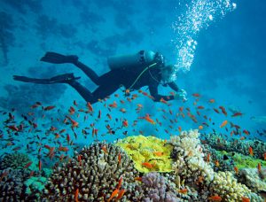 Scuba Diving in Andaman Islands