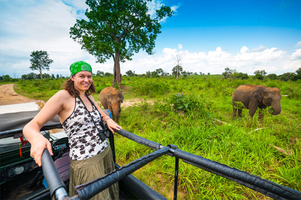 wiladlife srilanka