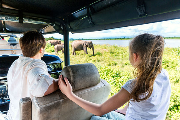 Udawalawe National Park