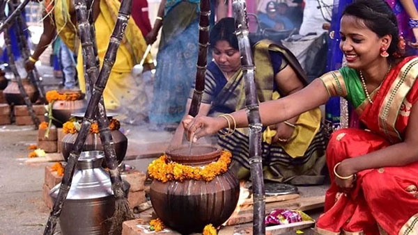 Thai Pongal