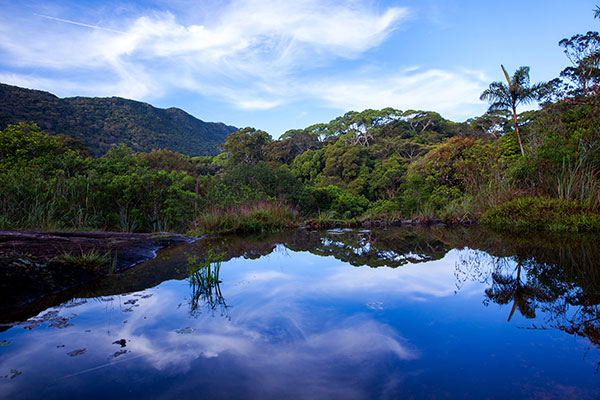 Sinharaja Forest Reserve